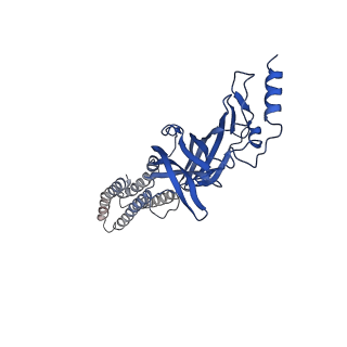 22033_6x3u_A_v1-2
Human GABAA receptor alpha1-beta2-gamma2 subtype in complex with GABA plus flumazenil