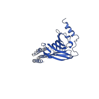 22033_6x3u_B_v1-2
Human GABAA receptor alpha1-beta2-gamma2 subtype in complex with GABA plus flumazenil