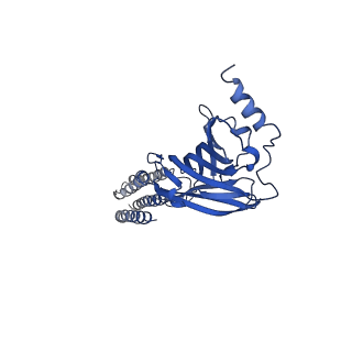 22033_6x3u_B_v2-0
Human GABAA receptor alpha1-beta2-gamma2 subtype in complex with GABA plus flumazenil