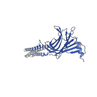 22033_6x3u_D_v1-2
Human GABAA receptor alpha1-beta2-gamma2 subtype in complex with GABA plus flumazenil