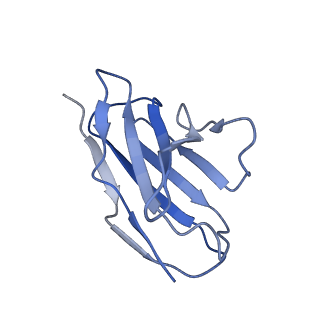 22033_6x3u_I_v1-2
Human GABAA receptor alpha1-beta2-gamma2 subtype in complex with GABA plus flumazenil