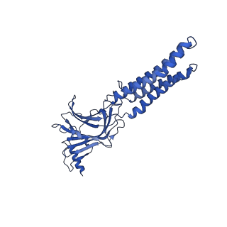 22034_6x3v_D_v1-2
Human GABAA receptor alpha1-beta2-gamma2 subtype in complex with GABA plus etomidate