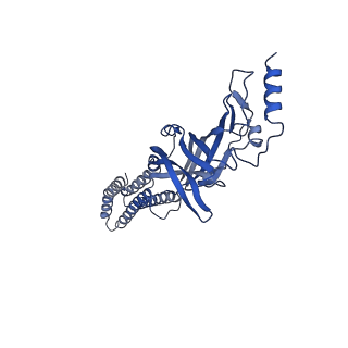 22035_6x3w_A_v1-2
Human GABAA receptor alpha1-beta2-gamma2 subtype in complex with GABA plus phenobarbital