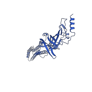 22035_6x3w_A_v2-0
Human GABAA receptor alpha1-beta2-gamma2 subtype in complex with GABA plus phenobarbital