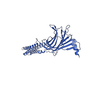22035_6x3w_D_v1-2
Human GABAA receptor alpha1-beta2-gamma2 subtype in complex with GABA plus phenobarbital