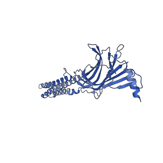 22035_6x3w_D_v2-0
Human GABAA receptor alpha1-beta2-gamma2 subtype in complex with GABA plus phenobarbital