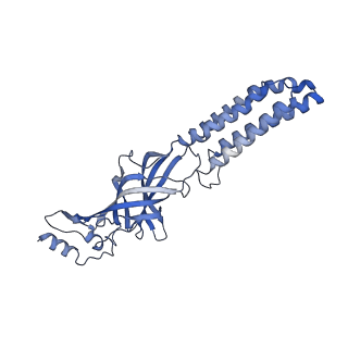 22036_6x3x_E_v1-2
Human GABAA receptor alpha1-beta2-gamma2 subtype in complex with GABA plus diazepam
