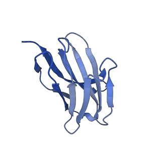 22036_6x3x_K_v1-2
Human GABAA receptor alpha1-beta2-gamma2 subtype in complex with GABA plus diazepam