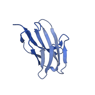 22036_6x3x_K_v2-0
Human GABAA receptor alpha1-beta2-gamma2 subtype in complex with GABA plus diazepam