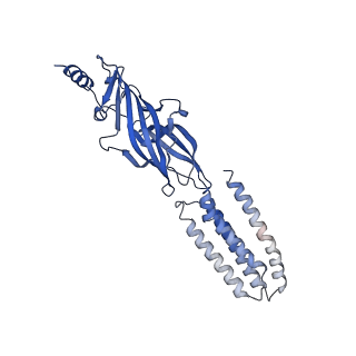 22037_6x3z_B_v1-2
Human GABAA receptor alpha1-beta2-gamma2 subtype in complex with GABA