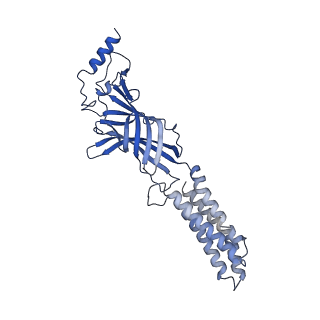 22037_6x3z_C_v1-2
Human GABAA receptor alpha1-beta2-gamma2 subtype in complex with GABA