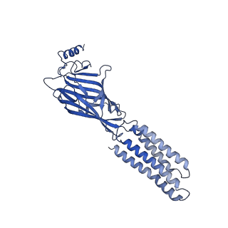 22037_6x3z_D_v1-2
Human GABAA receptor alpha1-beta2-gamma2 subtype in complex with GABA