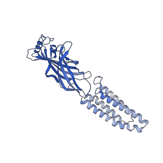 22037_6x3z_E_v1-2
Human GABAA receptor alpha1-beta2-gamma2 subtype in complex with GABA