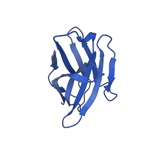22037_6x3z_K_v1-2
Human GABAA receptor alpha1-beta2-gamma2 subtype in complex with GABA