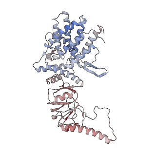 32989_7x3j_B_v1-1
Cryo-EM structure of human TRiC-tubulin-S2
