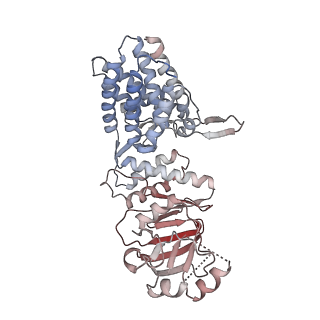 32989_7x3j_D_v1-1
Cryo-EM structure of human TRiC-tubulin-S2