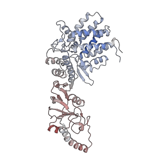 32989_7x3j_E_v1-1
Cryo-EM structure of human TRiC-tubulin-S2