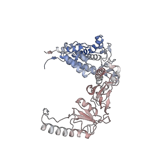 32989_7x3j_G_v1-1
Cryo-EM structure of human TRiC-tubulin-S2