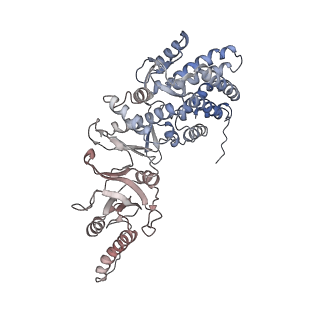 32989_7x3j_H_v1-1
Cryo-EM structure of human TRiC-tubulin-S2