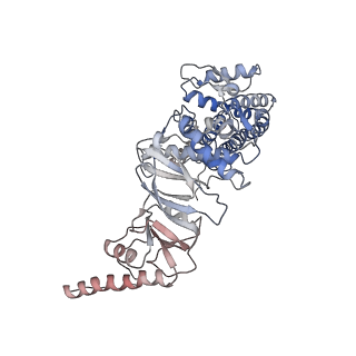 32989_7x3j_Q_v1-1
Cryo-EM structure of human TRiC-tubulin-S2