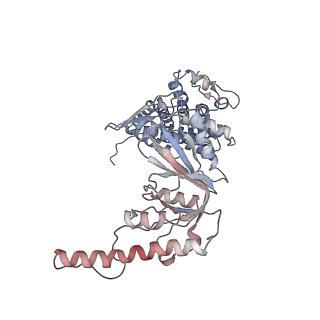 32989_7x3j_Z_v1-1
Cryo-EM structure of human TRiC-tubulin-S2