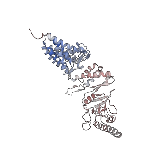 32989_7x3j_a_v1-1
Cryo-EM structure of human TRiC-tubulin-S2