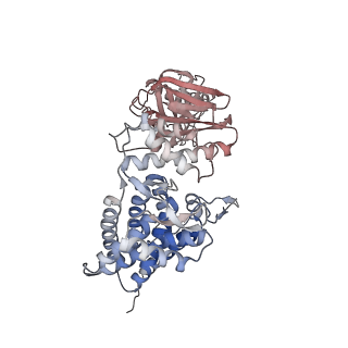 32989_7x3j_d_v1-1
Cryo-EM structure of human TRiC-tubulin-S2