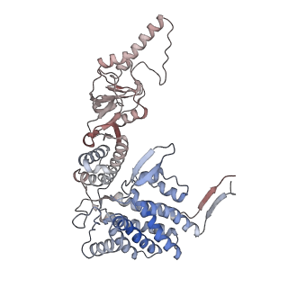32989_7x3j_e_v1-1
Cryo-EM structure of human TRiC-tubulin-S2