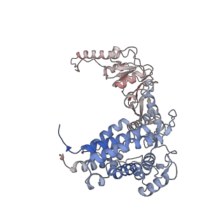32989_7x3j_g_v1-1
Cryo-EM structure of human TRiC-tubulin-S2