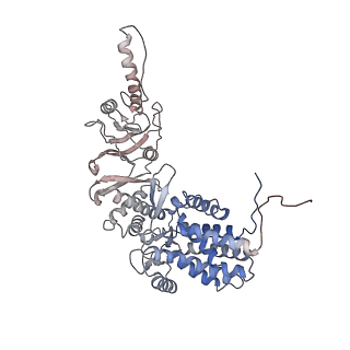 32989_7x3j_h_v1-1
Cryo-EM structure of human TRiC-tubulin-S2