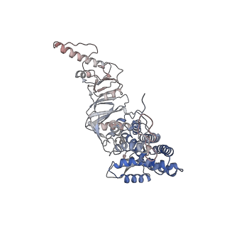 32989_7x3j_q_v1-1
Cryo-EM structure of human TRiC-tubulin-S2