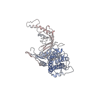 32989_7x3j_z_v1-1
Cryo-EM structure of human TRiC-tubulin-S2