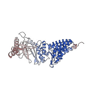 32993_7x3u_B_v1-1
cryo-EM structure of human TRiC-ADP