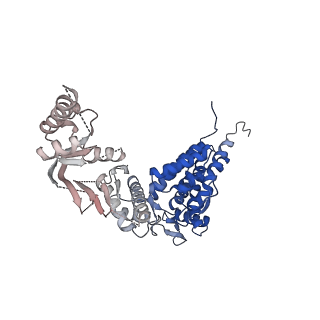 32993_7x3u_D_v1-1
cryo-EM structure of human TRiC-ADP
