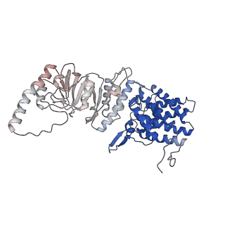 32993_7x3u_E_v1-1
cryo-EM structure of human TRiC-ADP