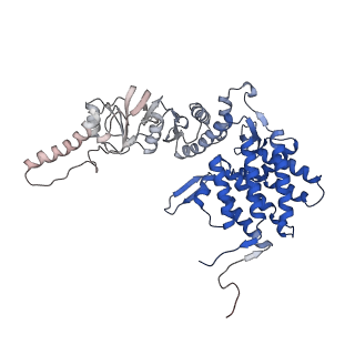 32993_7x3u_H_v1-1
cryo-EM structure of human TRiC-ADP