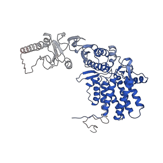32993_7x3u_Q_v1-1
cryo-EM structure of human TRiC-ADP
