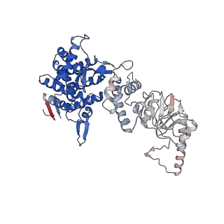 32993_7x3u_a_v1-1
cryo-EM structure of human TRiC-ADP