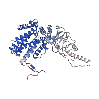 32993_7x3u_b_v1-1
cryo-EM structure of human TRiC-ADP