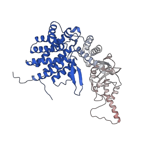 32993_7x3u_d_v1-1
cryo-EM structure of human TRiC-ADP