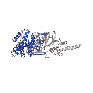 32993_7x3u_e_v1-1
cryo-EM structure of human TRiC-ADP