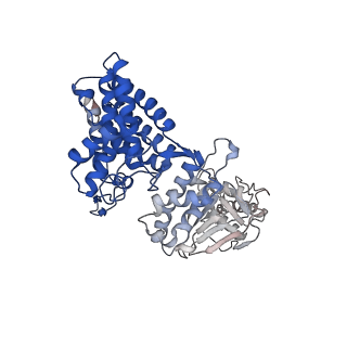 32993_7x3u_g_v1-1
cryo-EM structure of human TRiC-ADP