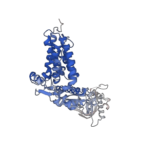 32993_7x3u_z_v1-1
cryo-EM structure of human TRiC-ADP