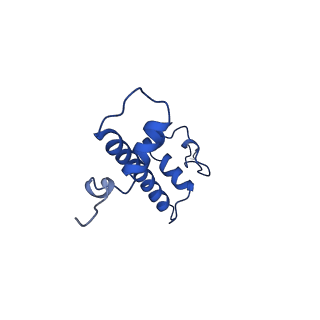 32994_7x3v_C_v1-2
Cryo-EM structure of IOC3-N2 nucleosome