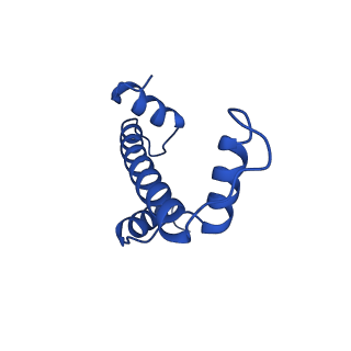 32994_7x3v_E_v1-3
Cryo-EM structure of IOC3-N2 nucleosome