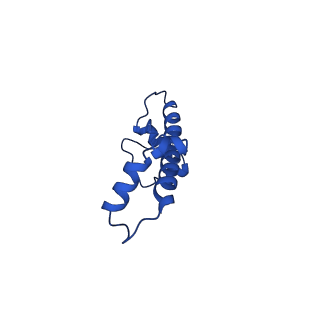 32994_7x3v_G_v1-2
Cryo-EM structure of IOC3-N2 nucleosome