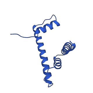 32994_7x3v_H_v1-3
Cryo-EM structure of IOC3-N2 nucleosome