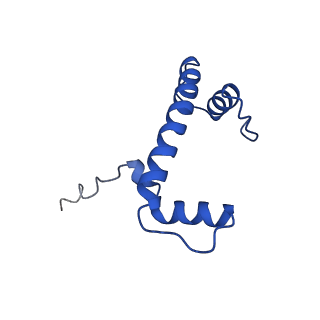 32995_7x3w_B_v1-3
Cryo-EM structure of ISW1-N1 nucleosome