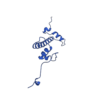 32995_7x3w_C_v1-2
Cryo-EM structure of ISW1-N1 nucleosome