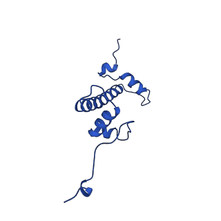 32995_7x3w_C_v1-3
Cryo-EM structure of ISW1-N1 nucleosome